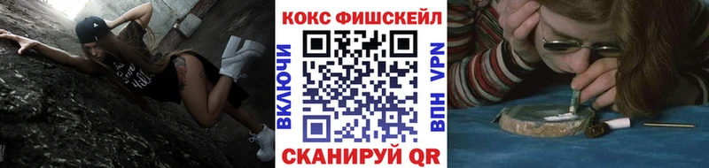 Кокаин Fish Scale  Павловск 