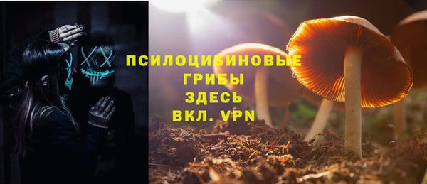 Альфа ПВП Осташков
