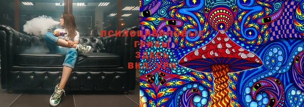 МДПВ Гвардейск