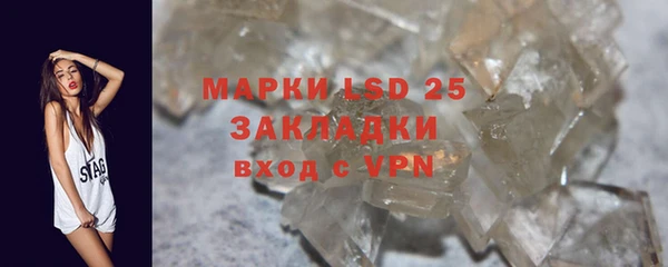 PSILOCYBIN Остров