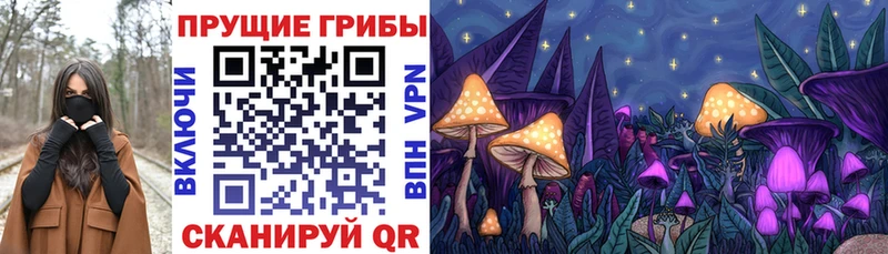 Галлюциногенные грибы Magic Shrooms  цена наркотик  Павловск 